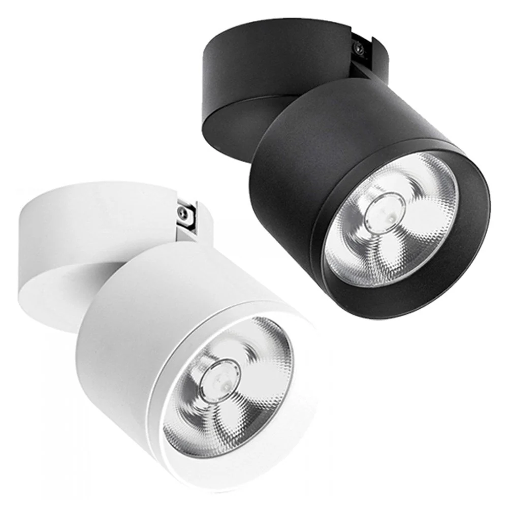 LED Downlight