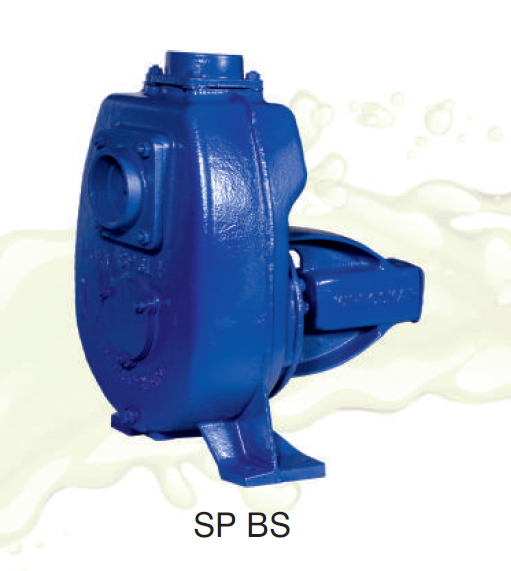 SP — Bare Shaft / Monobloc / Motor Coupled